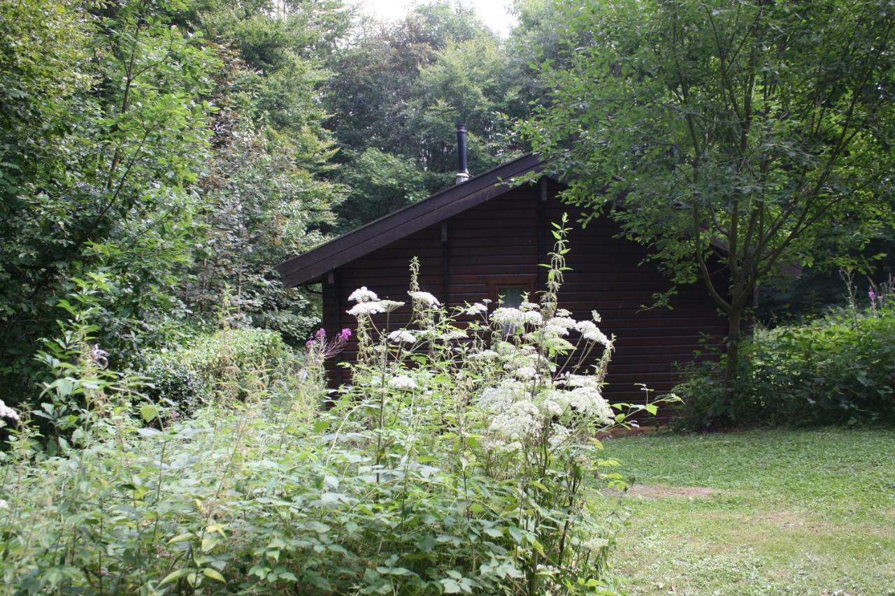 Bungalow; Haus 111 Ferienpark Twistesee, Bad Arolsen Bagian luar foto